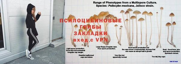 крисы Гусев