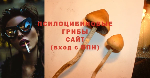 крисы Гусев