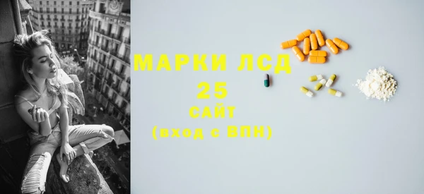 крисы Гусев