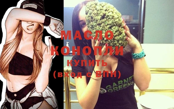 индика Горняк